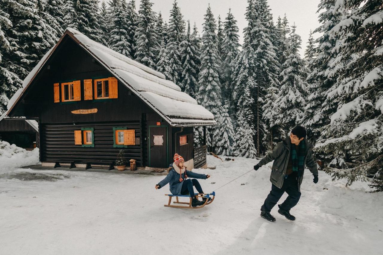 Chalet Trzinka - Triglav National Park Goreljek 外观 照片